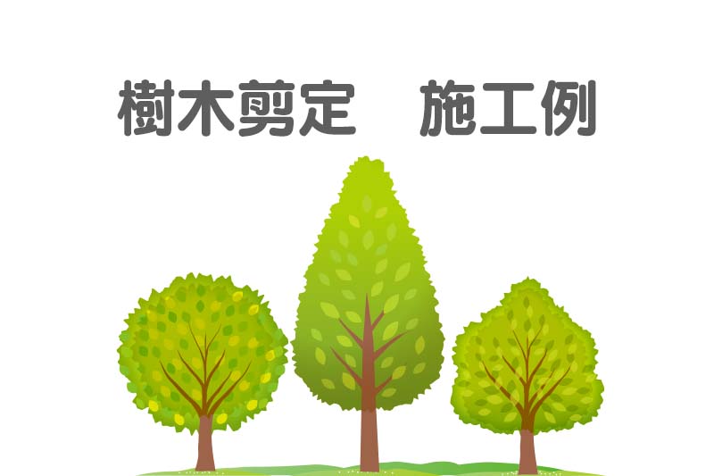 剪定 施工例の外観